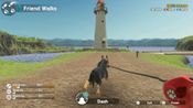 Little Friends: Dogs & Cats