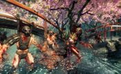 Redeem Shadow Warrior (2013) PlayStation 4