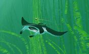 ABZÛ for sale