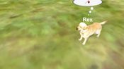 My Own Pet