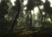 Risen Steam Key GLOBAL