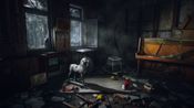 Chernobylite PlayStation 5 for sale