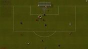 Natural Soccer