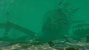 Shark Attack Deathmatch 2 (PC) Steam Key EUROPE for sale