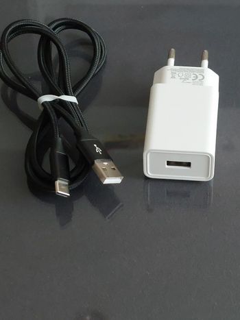 Trossm 5V/2A pakrovėjas + USB-C laidas