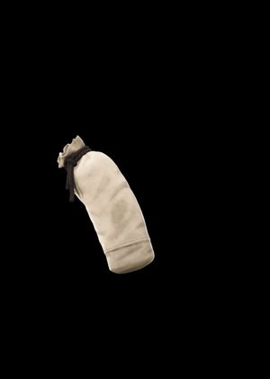 Fortnite - Training Bag Back Bling (DLC) Epic Games Key GLOBAL