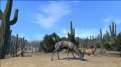 Buy Cabela's Big Game Hunter Pro Hunts Steam Key GLOBAL
