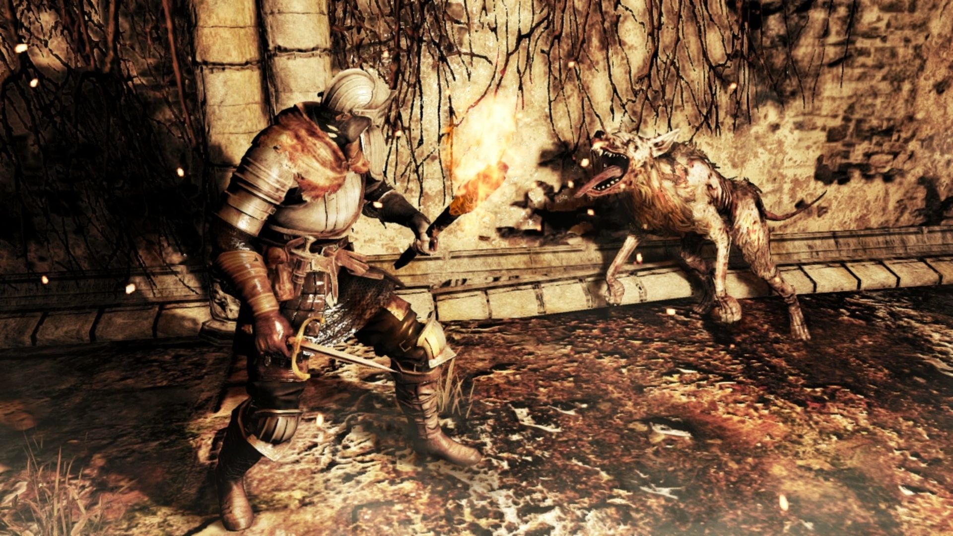 Captura 3
