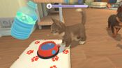 Redeem My Universe - Puppies & Kittens (PC) Steam Key GLOBAL
