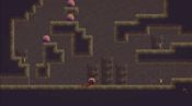 Buy The Dweller