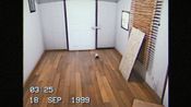 SEPTEMBER 1999 for sale