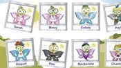 Buy Butterbies