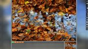 Buy Pixel Puzzles Ultimate - Puzzle Pack: Autumn (DLC) Steam Key EUROPE