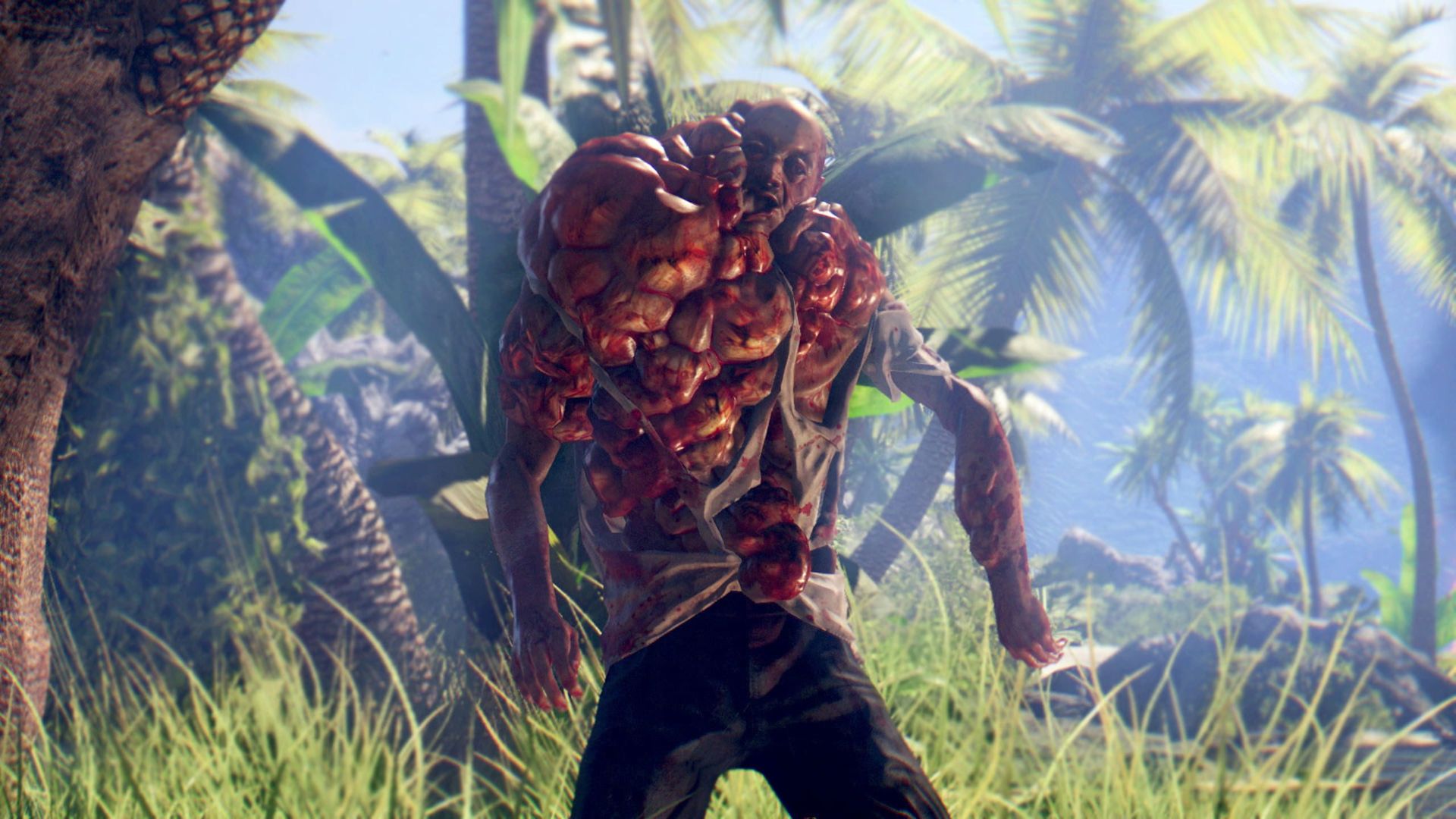 Captura 14