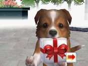 Nintendogs: Chihuahua & Friends Nintendo DS