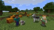 Redeem Minecraft: Wii U Edition