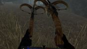 Krieg for sale