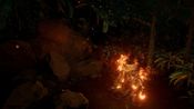 Get Amberskull