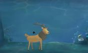The Deer for sale