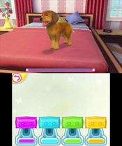 Get My Pets