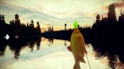 ALASKA for sale