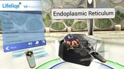 Lifeliqe VR Museum for sale