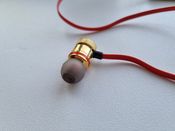 Buy Belaides ausines