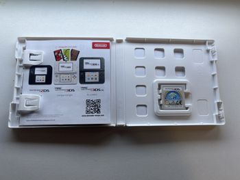 Ever Oasis Nintendo 3DS