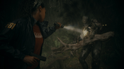 Alan Wake 2 Deluxe Edition (Xbox Series X|S) Xbox Live Key EUROPE