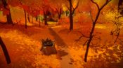 Buy The Witness