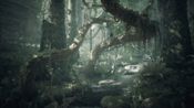 Redeem Ancestors: The Humankind Odyssey