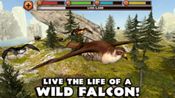 Falcon Simulator