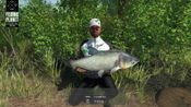 The Fisherman - Fishing Planet XBOX LIVE Key UNITED STATES for sale