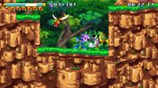 Freedom Planet PlayStation 4