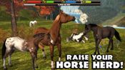 Buy Ultimate Horse Simulator