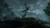 Get Obscura