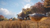 Get theHunter: Call of the Wild - Wild Goose Chase Gear (DLC) (PC) Steam Key GLOBAL