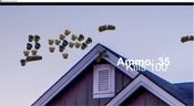 Buy Achievement Collector: Dog (PC) Steam Key GLOBAL