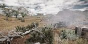 Zulu Response