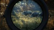 theHunter: Call of the Wild (Xbox One) Xbox Live Key UNITED STATES