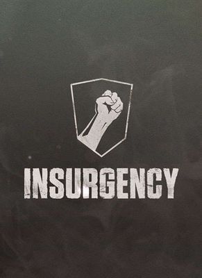 Insurgency historic low price