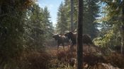 Get theHunter: Call of the Wild (Xbox One) Xbox Live Key UNITED STATES