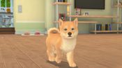 Buy My Universe - Puppies & Kittens (PC) Steam Key GLOBAL