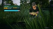 Euro Fishing Steam Key GLOBAL for sale