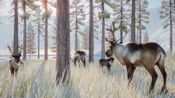 Planet Zoo: Arctic Pack (DLC) Steam Key GLOBAL for sale