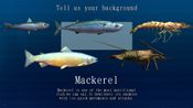 Ace of Seafood (PC) Steam Key GLOBAL