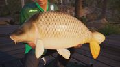 Buy Fishing Sim World®: Pro Tour - Collector's Edition (Xbox One) Xbox Live Key EUROPE