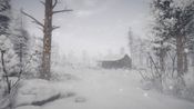 Northern Lights Steam Key GLOBAL