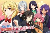 Moe! Ninja Girls