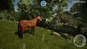 Get Animal Doctor (Nintendo Switch) eShop Key EUROPE